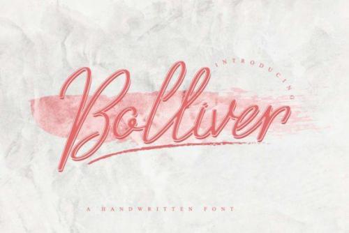 Bolliver Handwritten Font 2