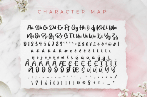 Bonafida Font  5