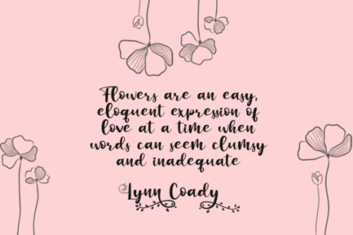 Botanical Flourish Font 2