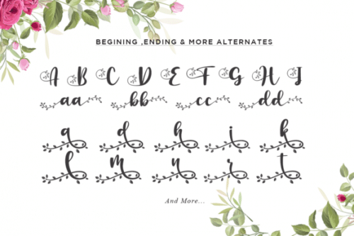 Botanical Flourish Font 4