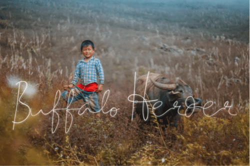 Buffalo Herder Signature Font 5