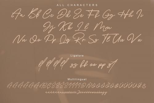 Costtella Handwritten Script Font 7