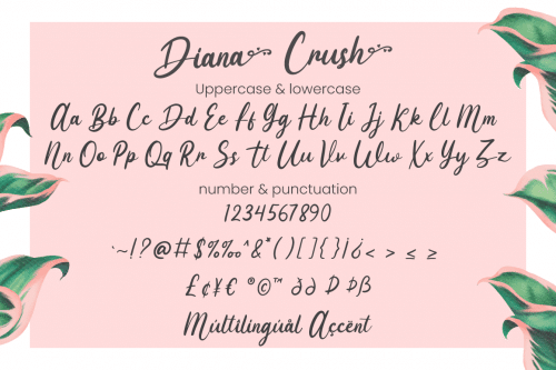 Diana Crush Font 6