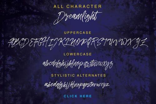 Dreamlight Script Font 5