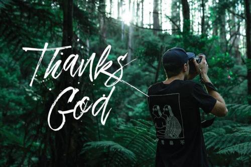 Dreamlight Script Font 6