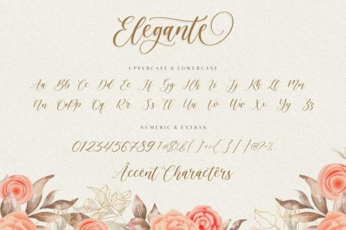 Elegante Font 5