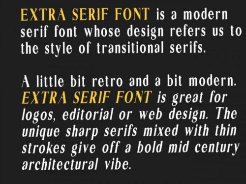 Extra Serif Font 4