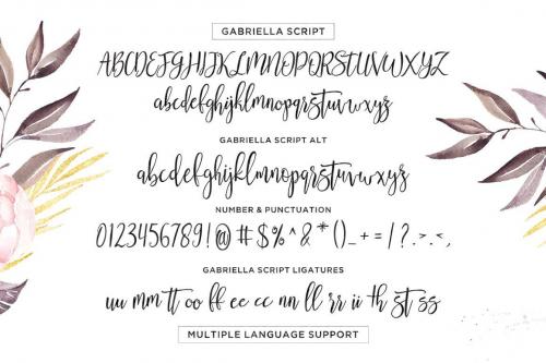 Gabriella Script Font 8