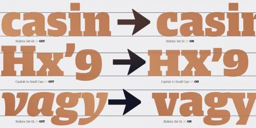 Harrison Pro Font Family 6