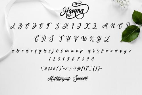 Havana Calligraphy Font 6