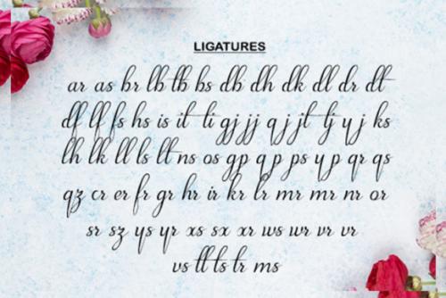 Kylie Font 10