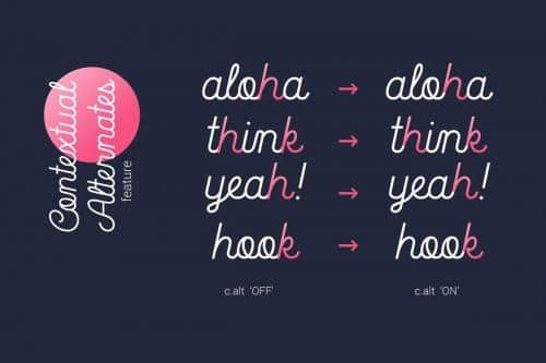 La Patio Script Font 8