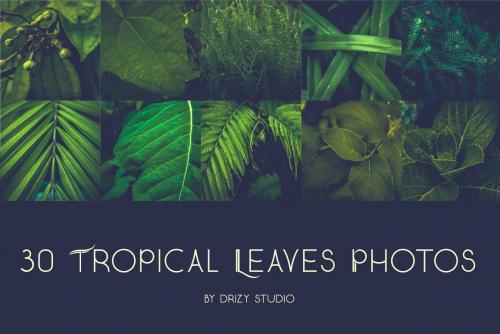 Latone Stunning Sans Serif Font 6