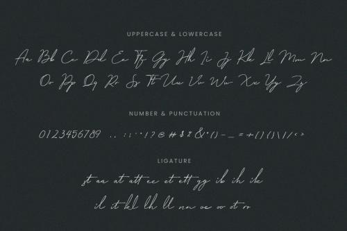 Milano Signature Script Font 10