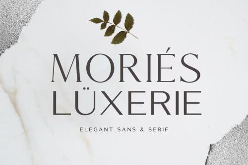 Mories Luxerie Font Duo 16