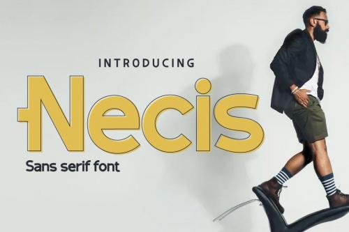 Necis Sans Serif Font 1