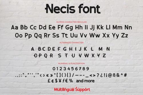 Necis Sans Serif Font 5
