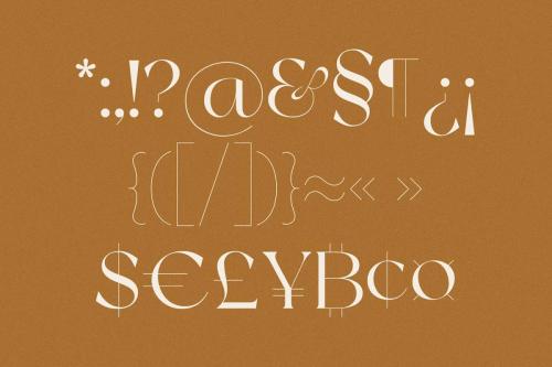 New York Modern Serif Typeface 11