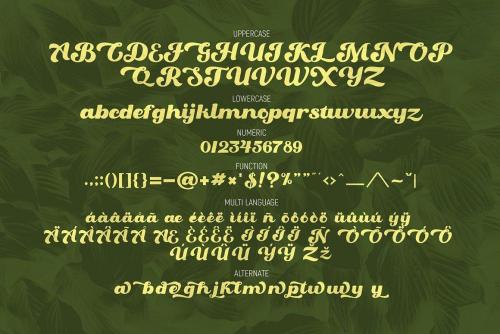 Oaklash Font 6
