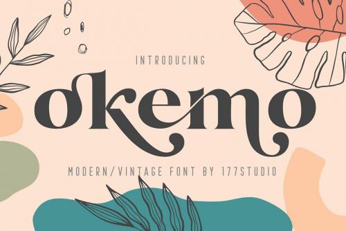 Okemo Modern Bold Serif Font 1