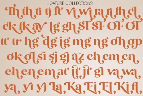 Okemo Modern Bold Serif Font 5