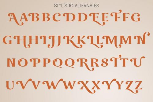Okemo Modern Bold Serif Font 6