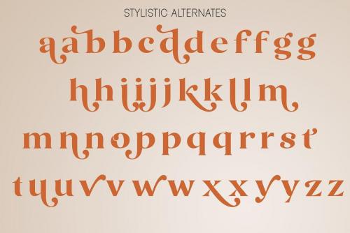Okemo Modern Bold Serif Font 7