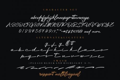 Platinum Signature Handwritten Font 8