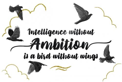 Priscillia Script Font 4