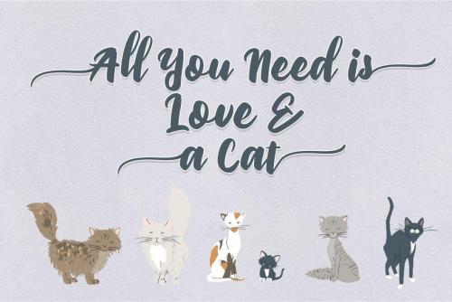 Priscillia Script Font 6