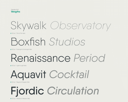 Qanelas-Soft-3-Free-font-weights-30
