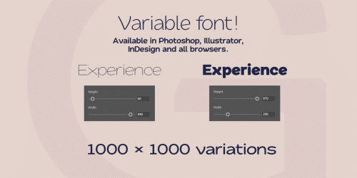 Quache Sans Serif Font Family 3