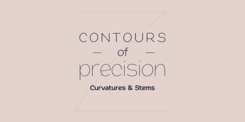 Quache Sans Serif Font Family 4