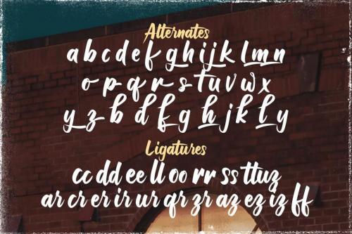 Raizen Anthem Font 14
