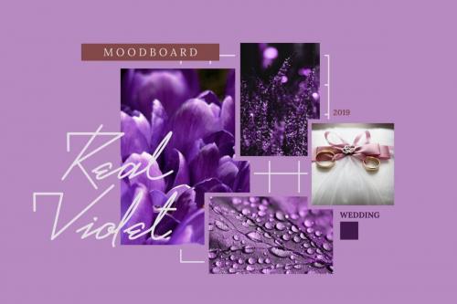 Real Violet Script Font 2