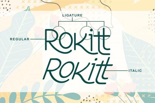 Rokitt Font 10