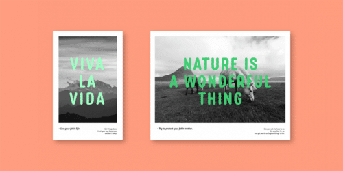 Rolade Font Family 4