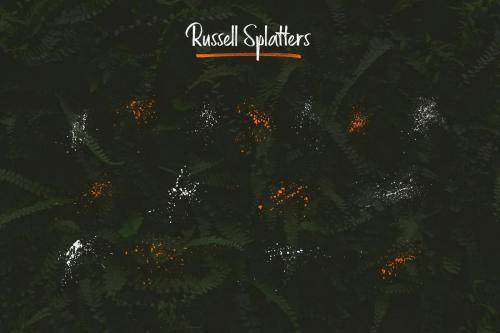 Russell Brush Font 4