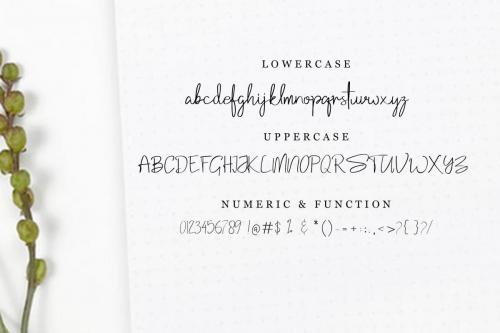 Samantha Font 5