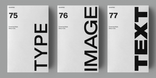 Shapiro Font Family 1