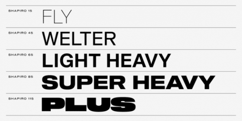 Shapiro Font Family 6