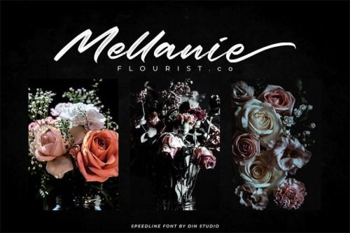 Speedline Font 1