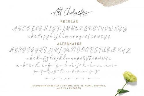 Stephen Gillion Font 2