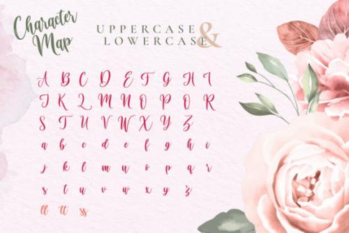 Virgi Ella Font 11