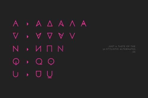 Vision Font Family 6