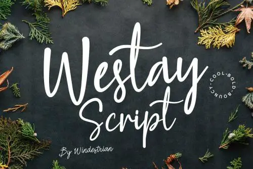 Westay Bold Script Font 1