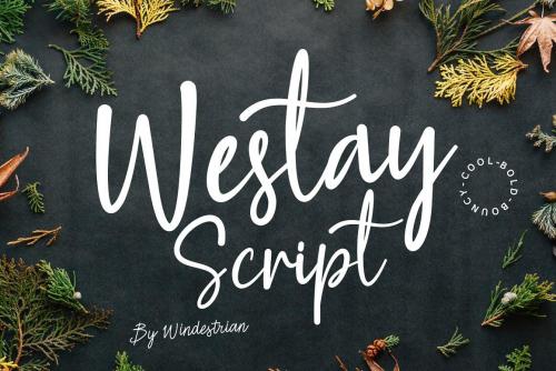 Westay Bold Script Font 1 (1)