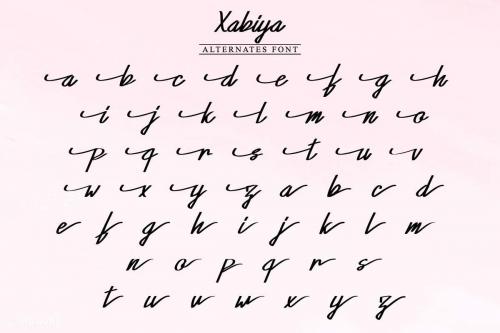 Xabiya Marker Script Font 1