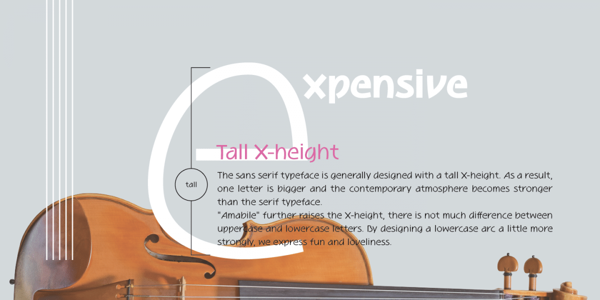 Amabile Sans Serif Font 6