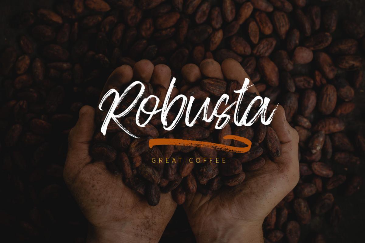 Blackpine Brush Font 2